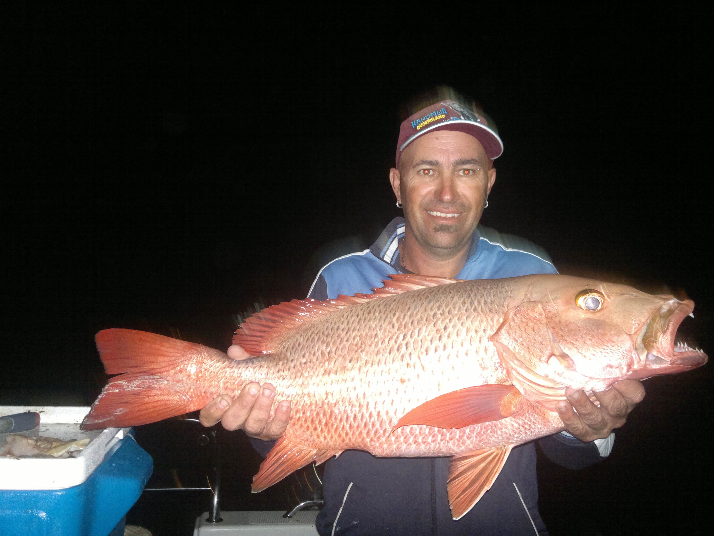 mangrove jack 008