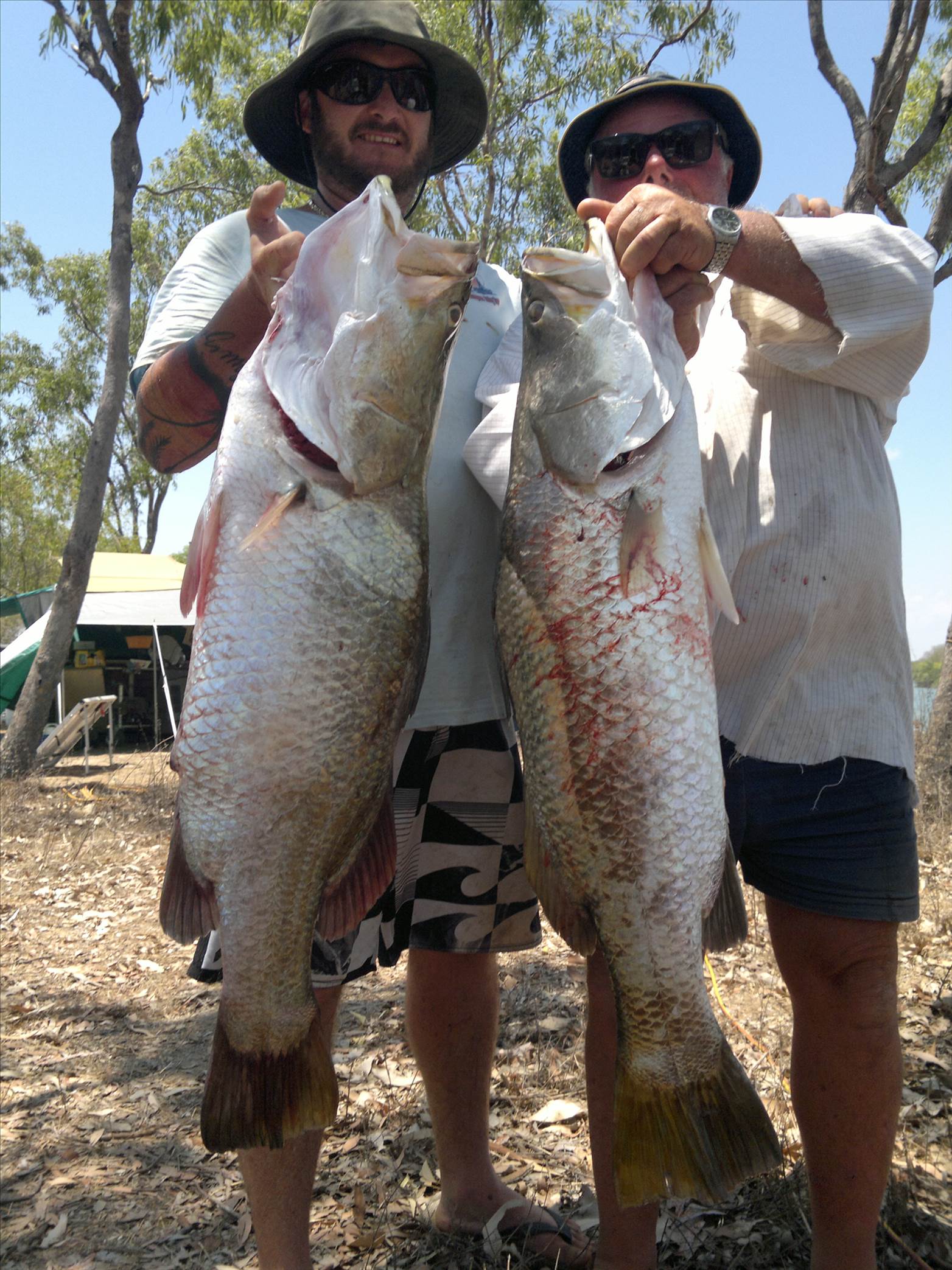 ocean cat barra