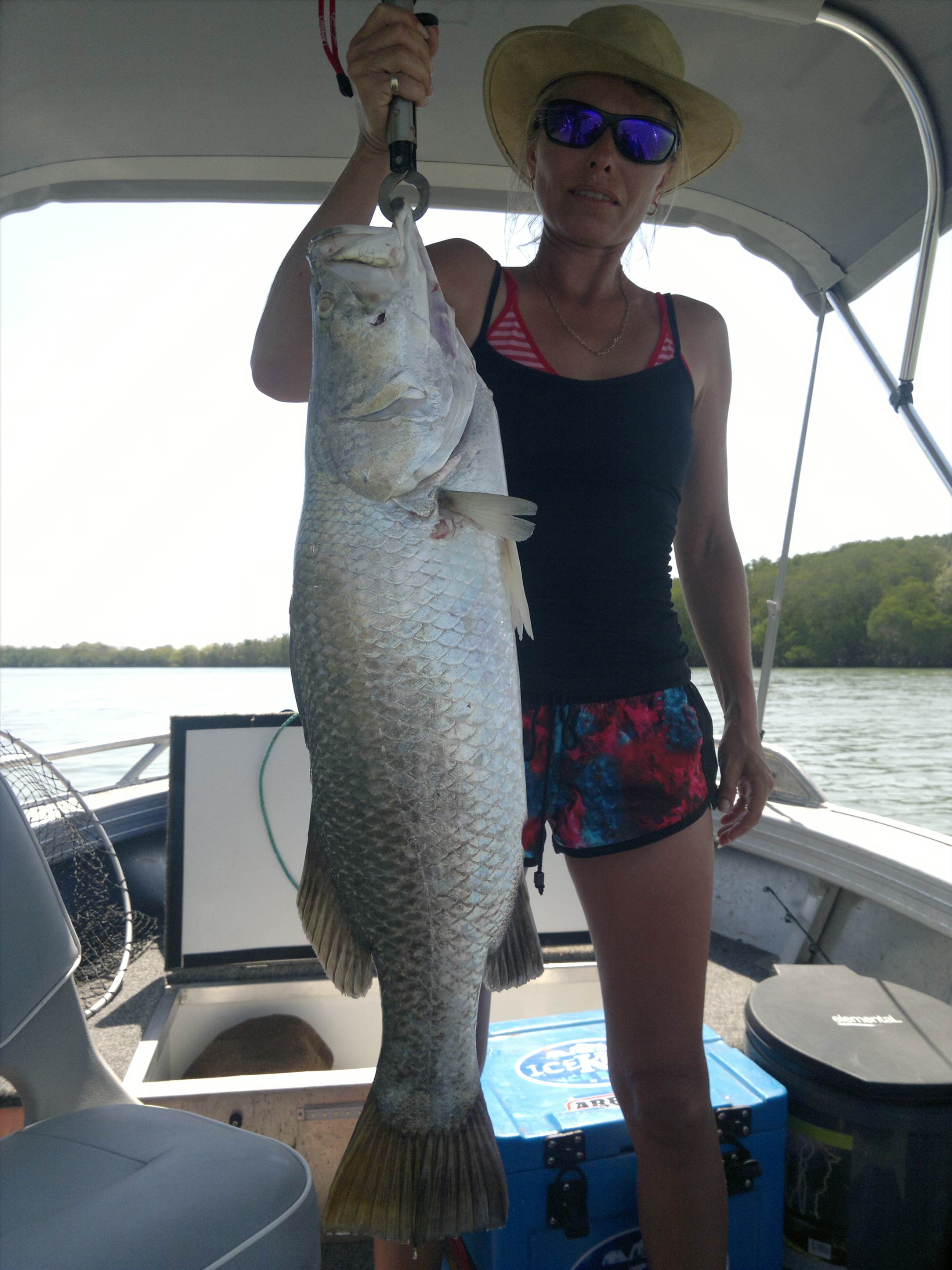 ocean cat barra