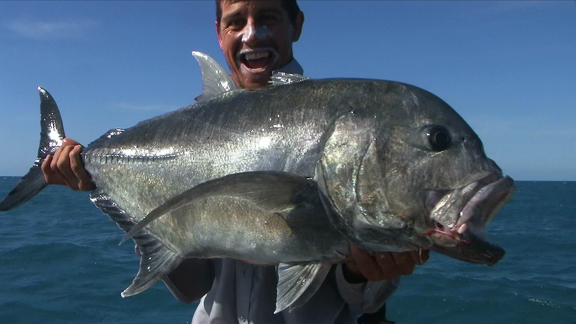 Caught and Released