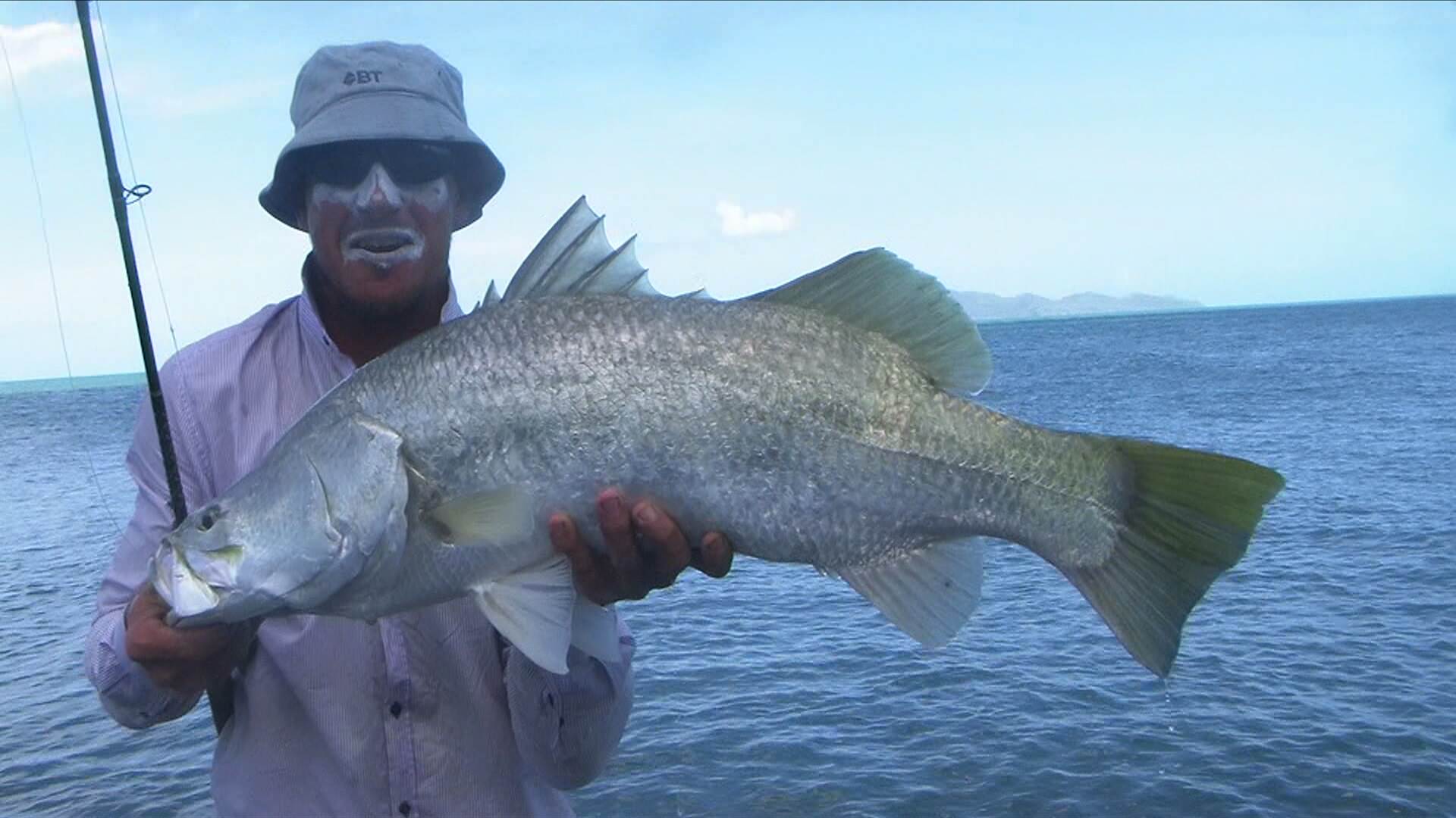Caught and Released