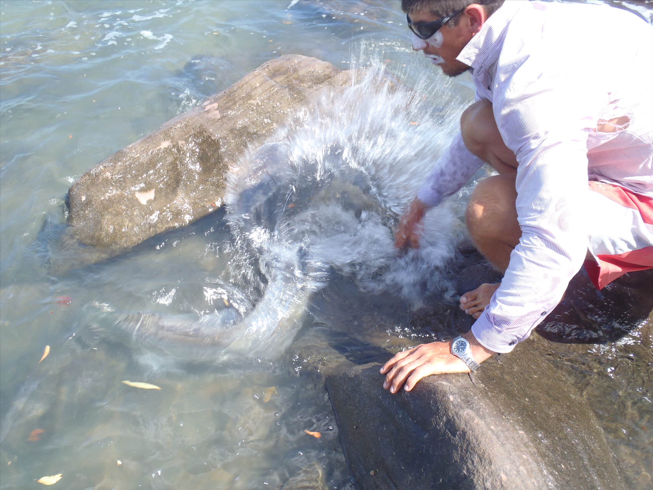 Caught and Released