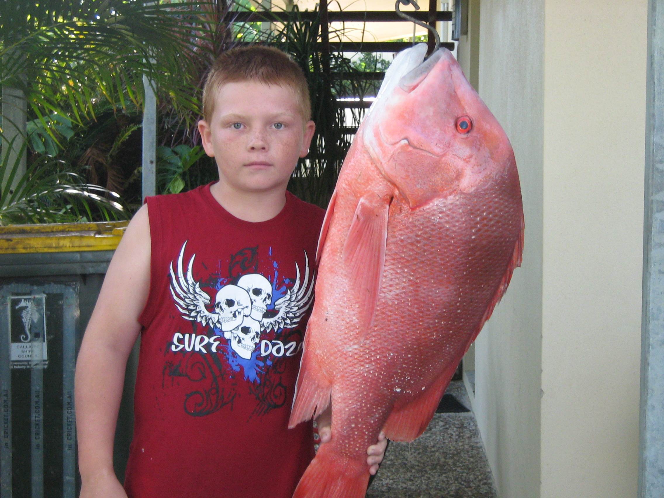 9.2 Kg