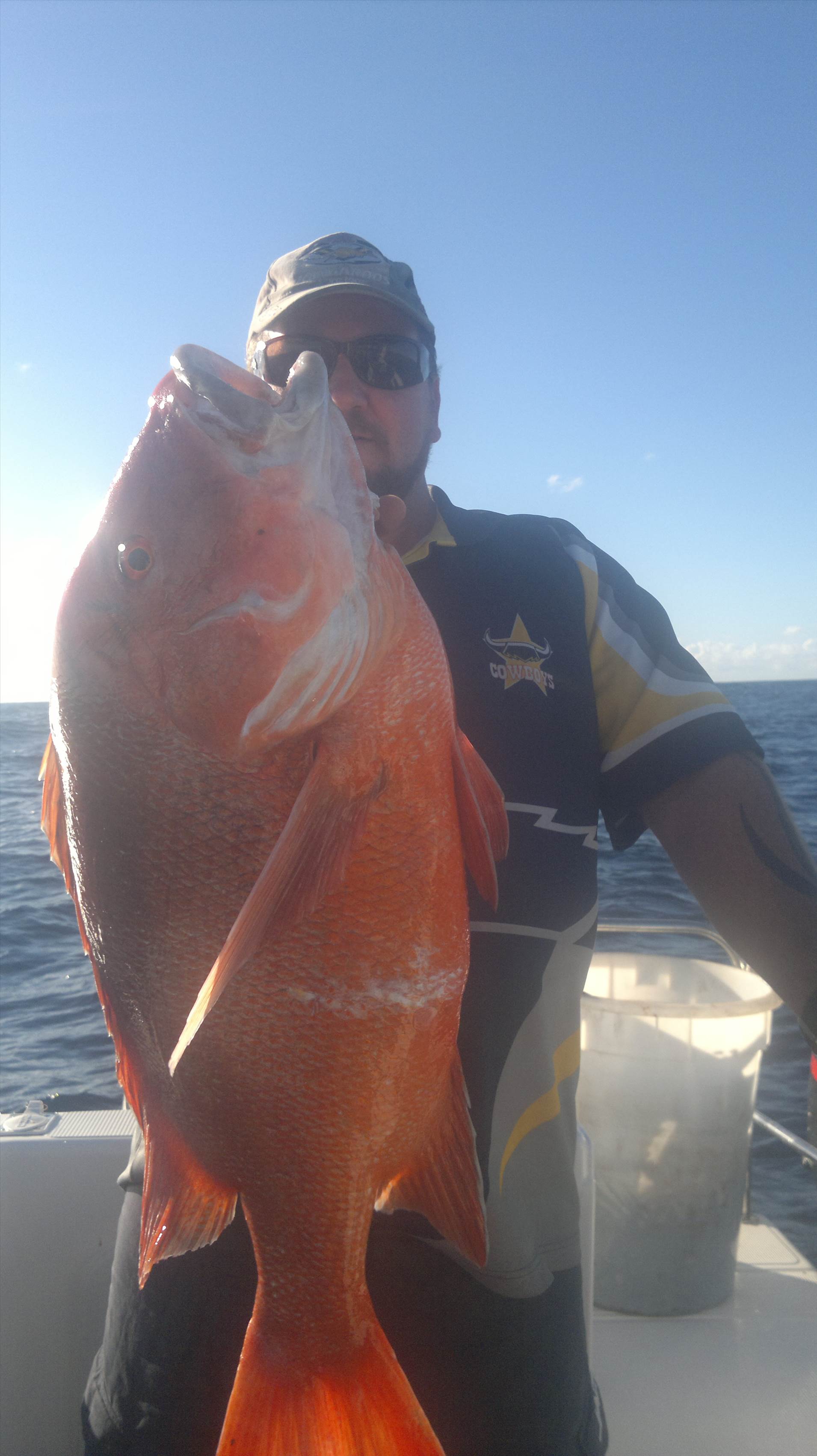 oceancat reds