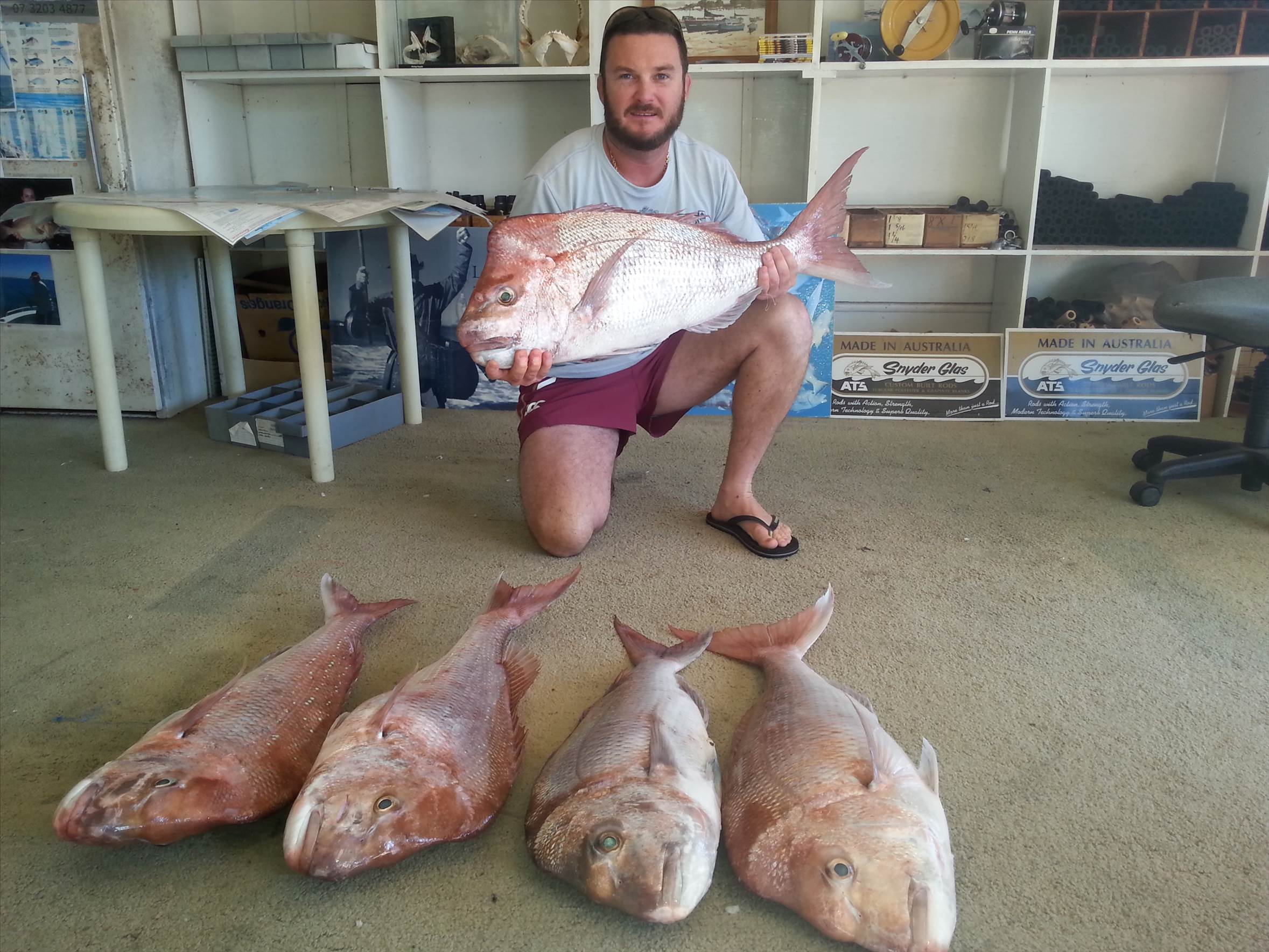 5 fish 012