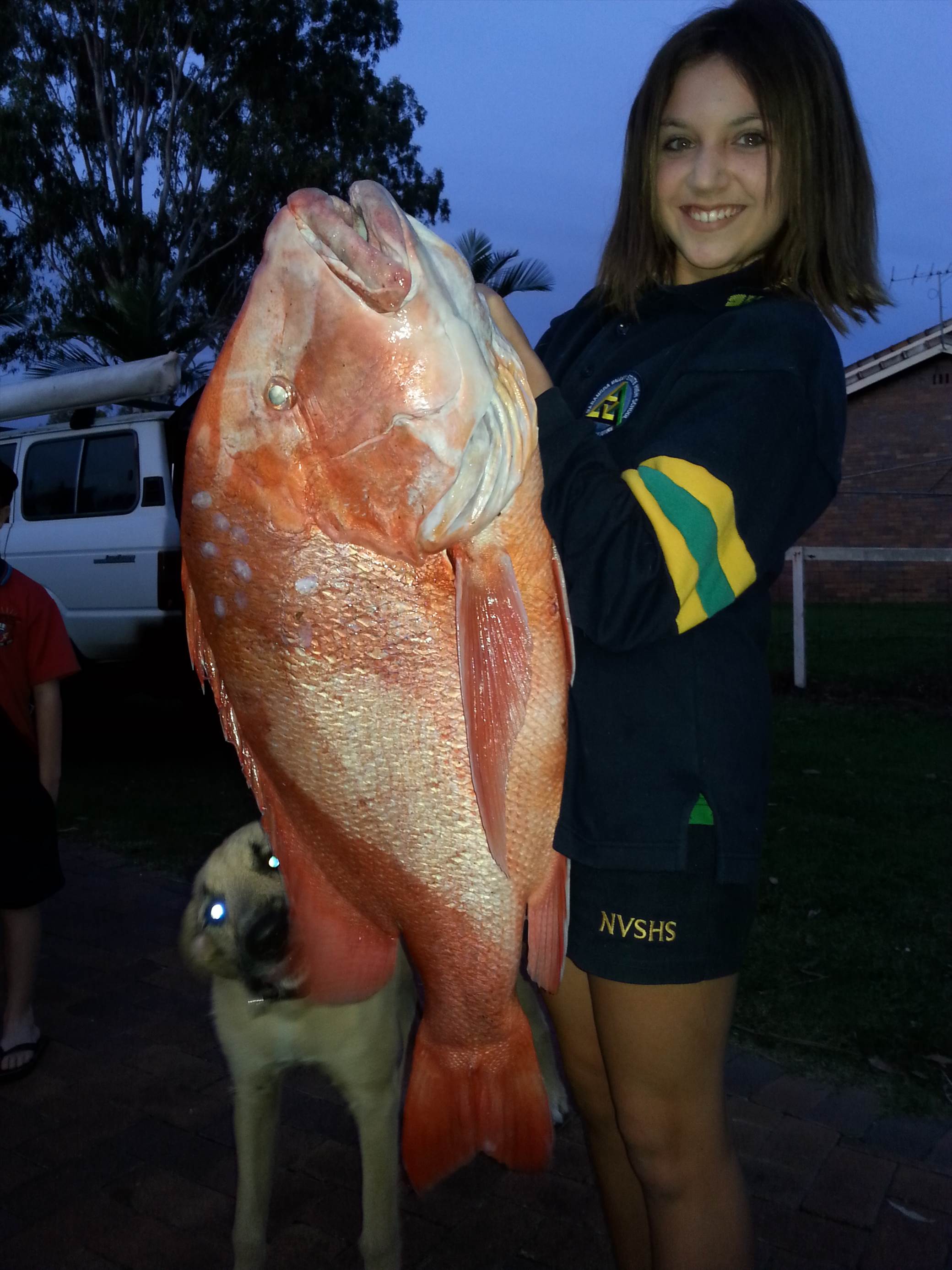 5 fish 001