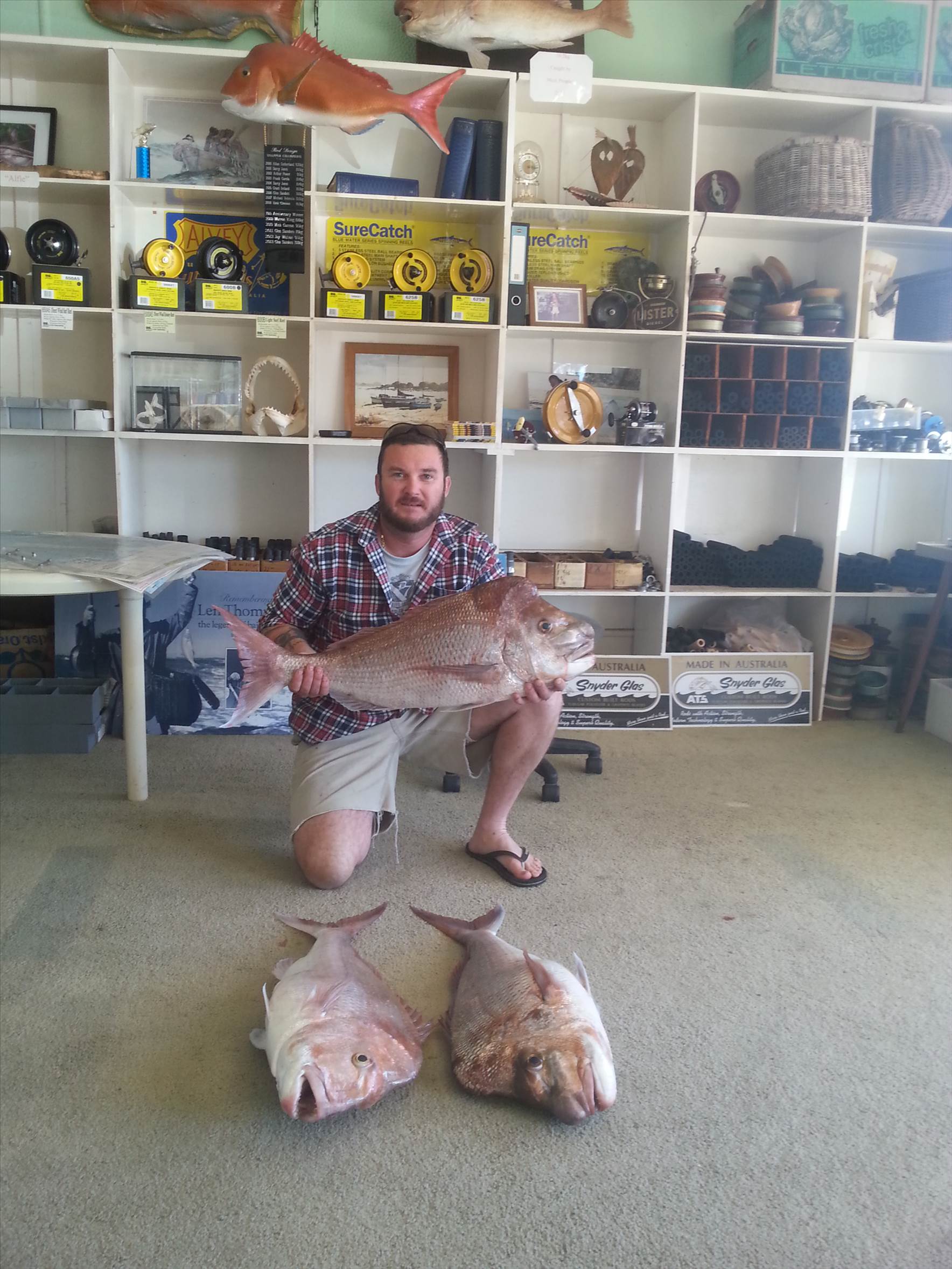 3 fish 013