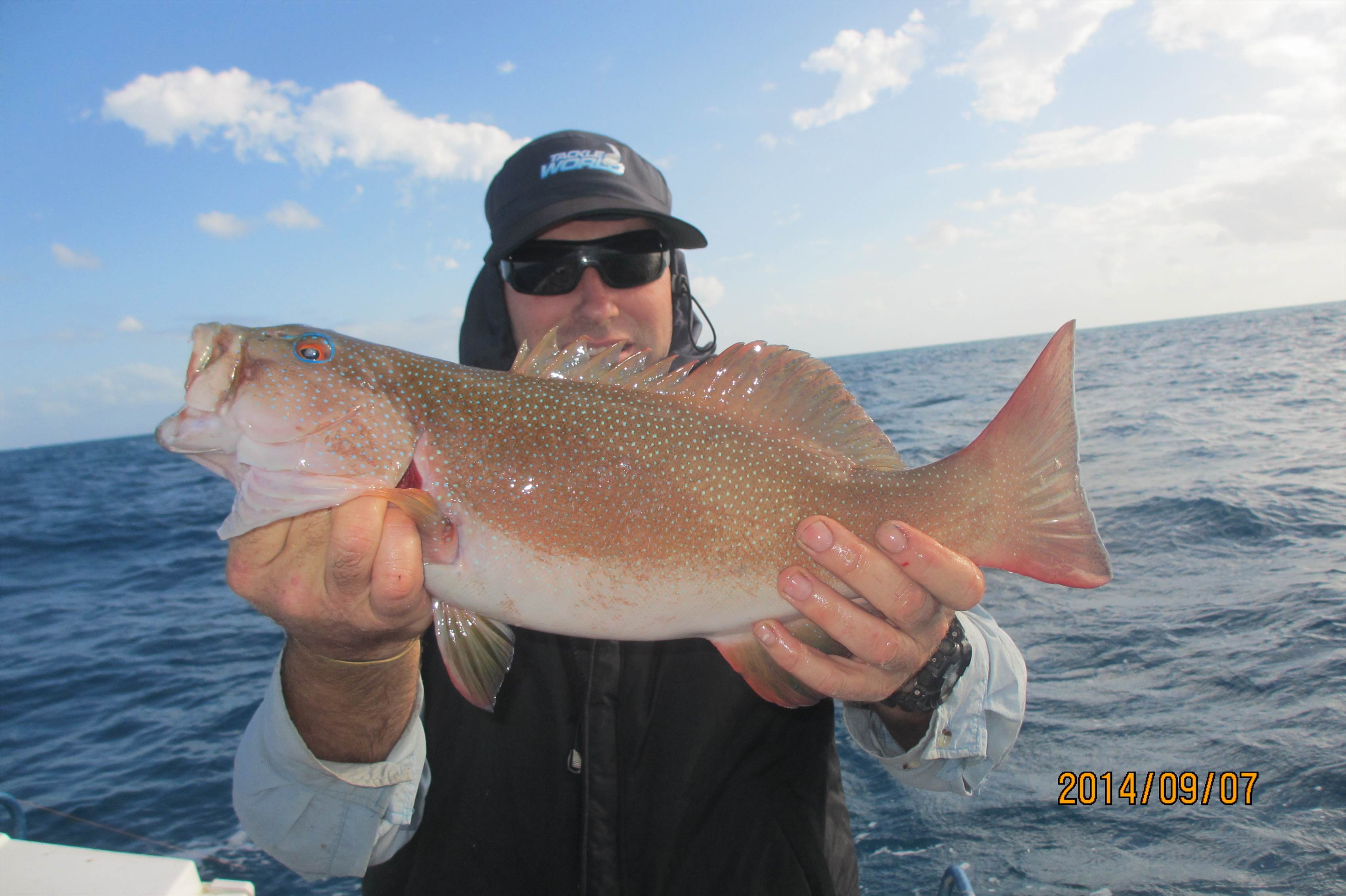 Fathers Day Trout