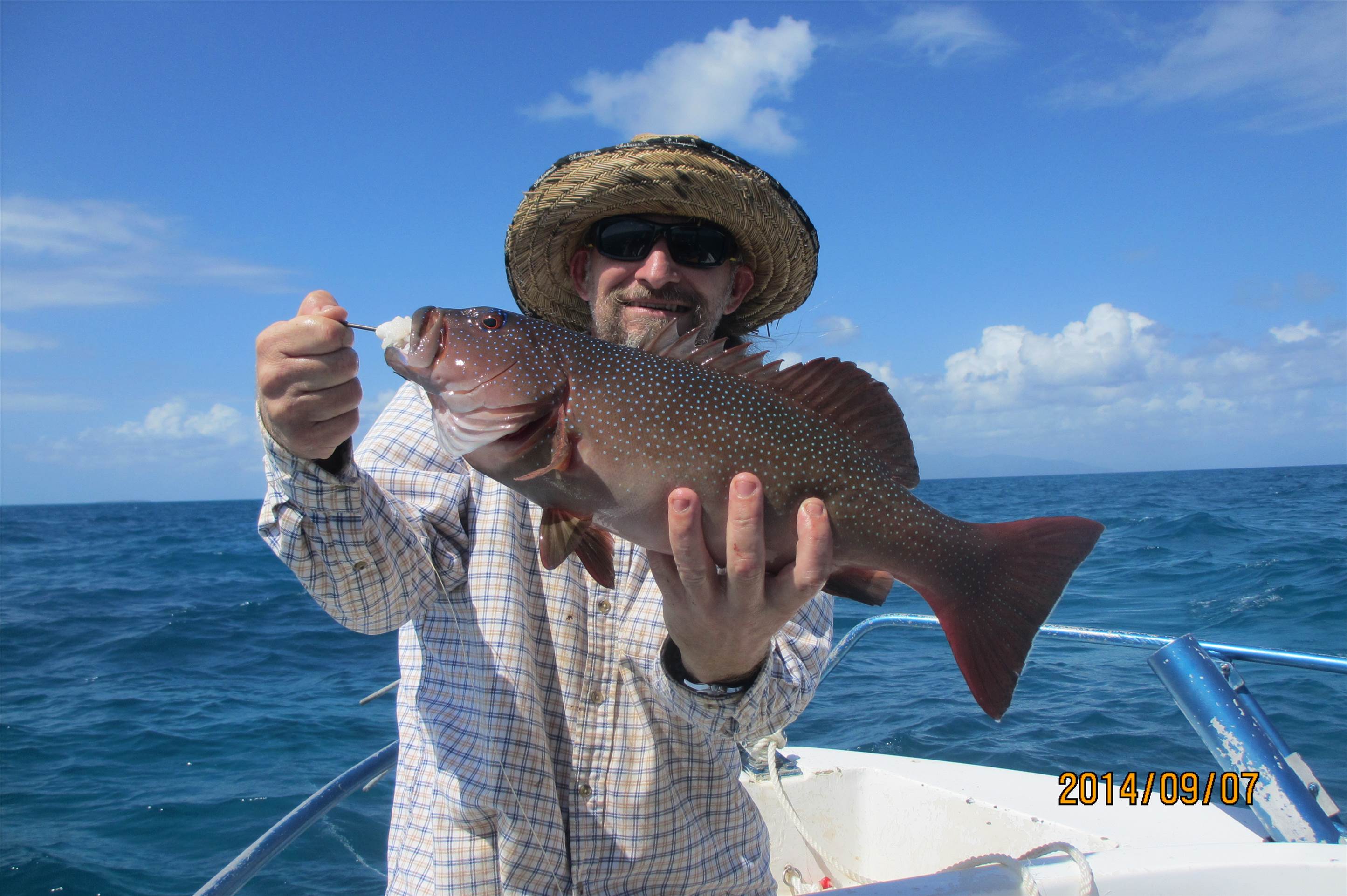 Fathers Day Trout