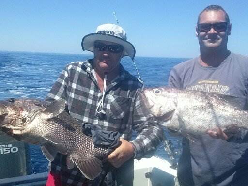Fish