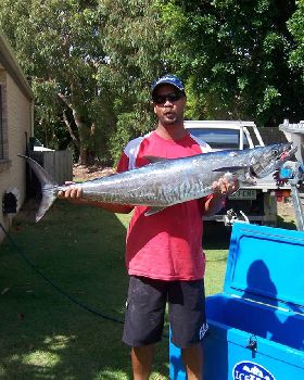 Spanish Mackeral - Caloundra, Sunshine Coast