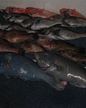 Fishing