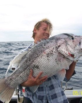 nice dhuie off bunno