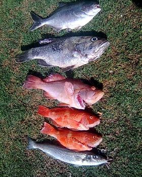 Fishing