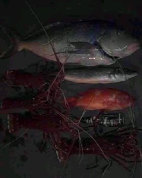 Fishing