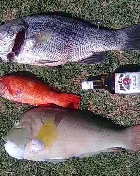 Fishing