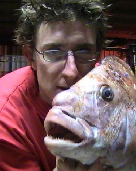 COCKBURN SNAPPER