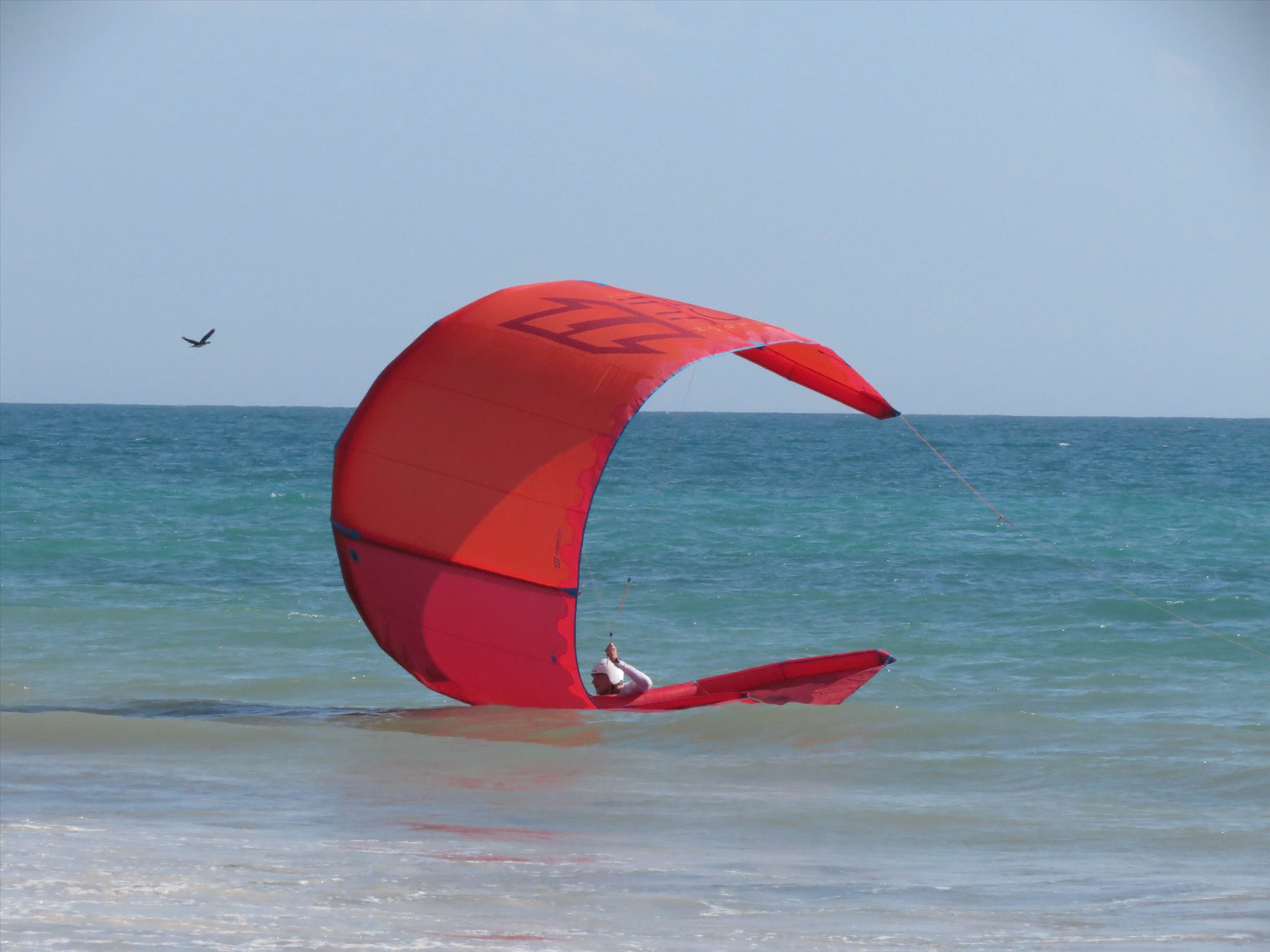 self-rescue clinic 1