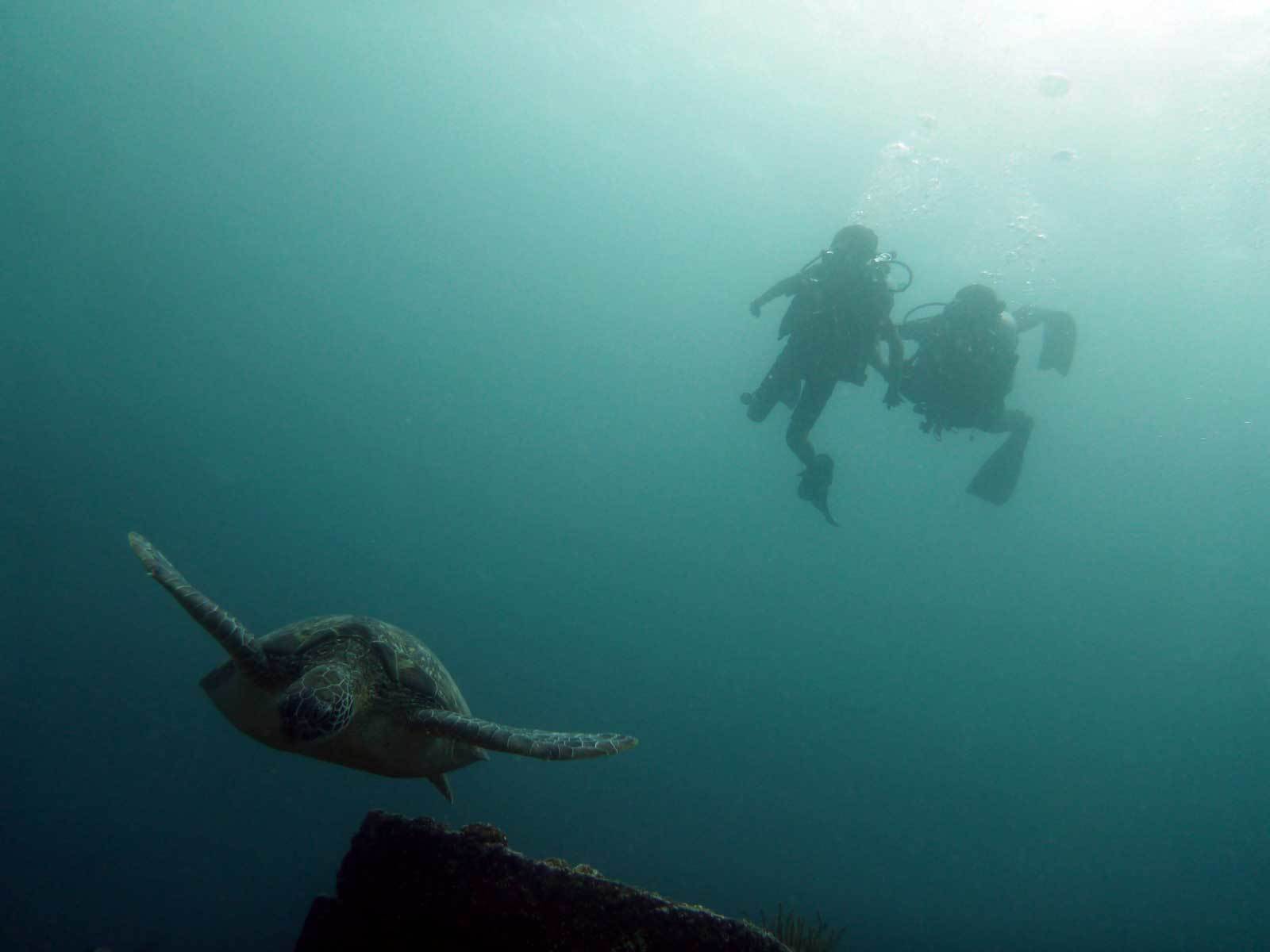 scuba