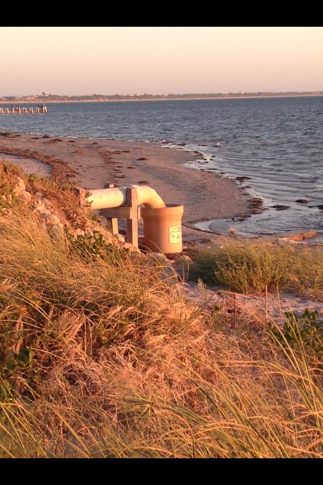Discharge pipe at the pond