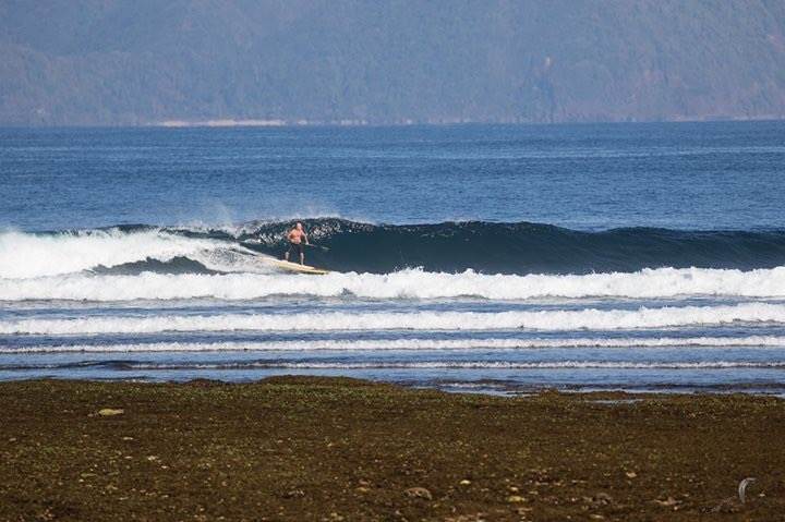 first morning, bit timid (this is indo after all)