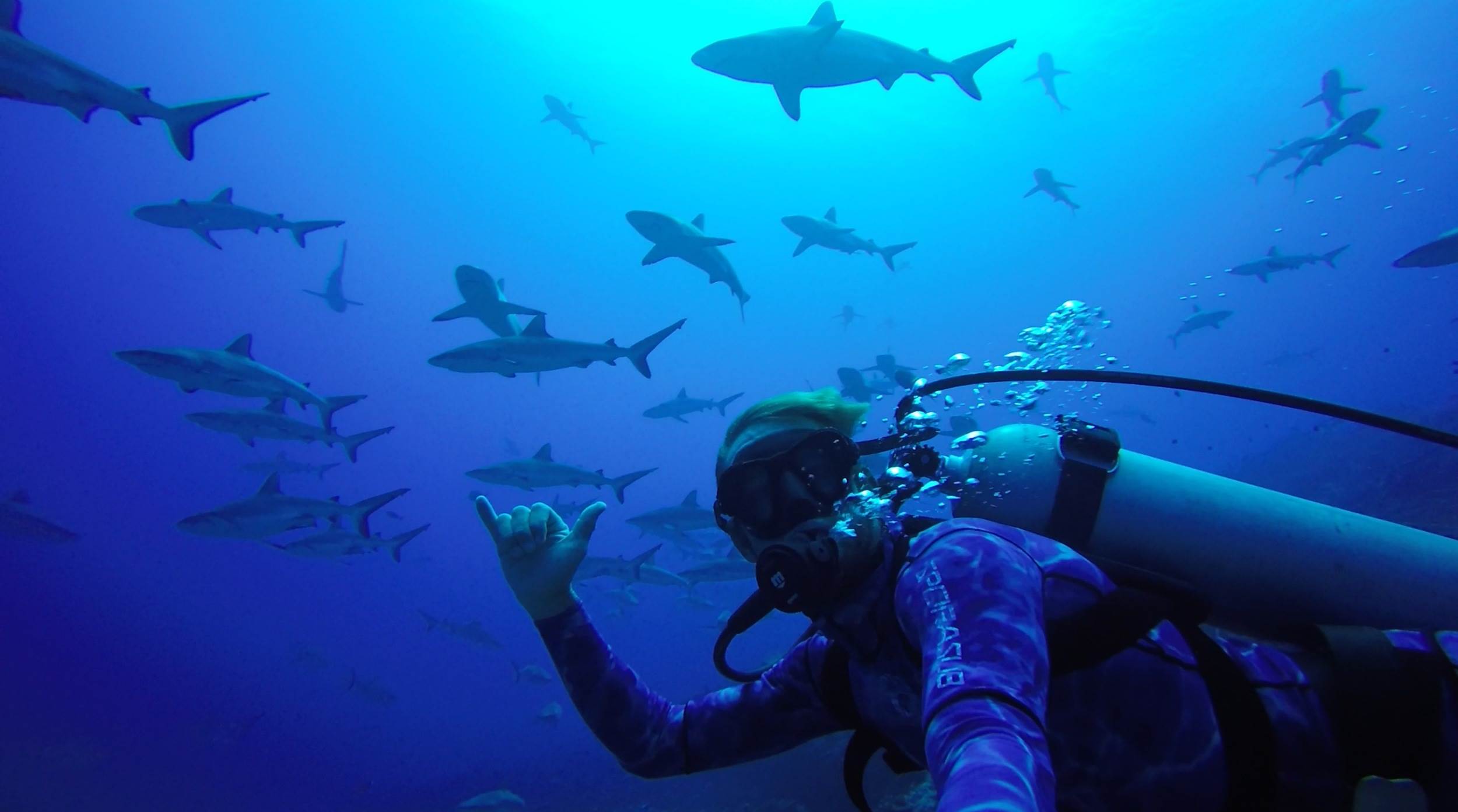 Scott with Sharks