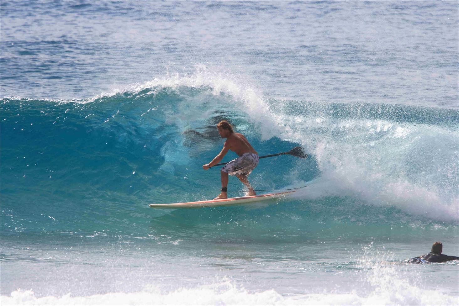 snapper rocks