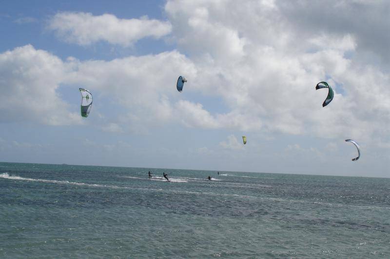 Windy day @ woodies