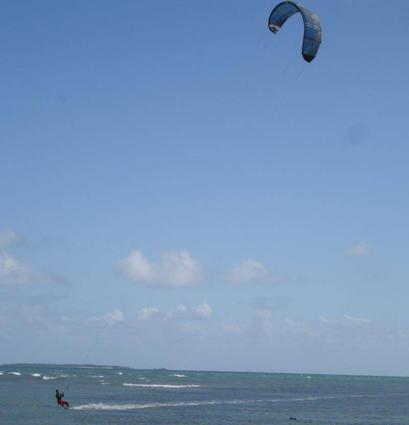Windy day @ woodies