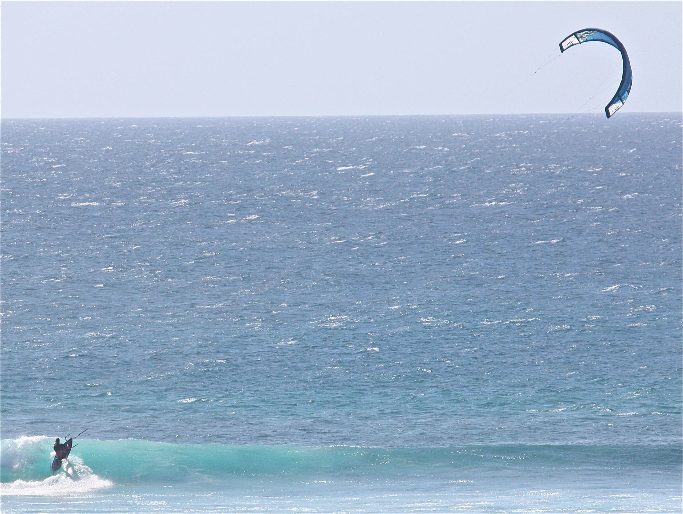 wave kites