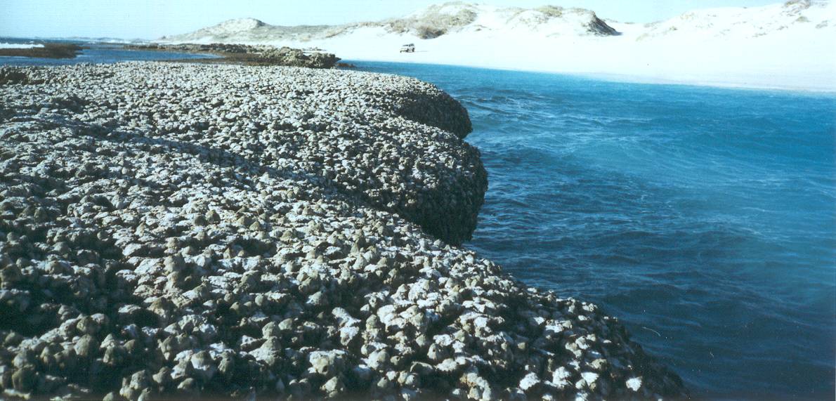 Lucky bay