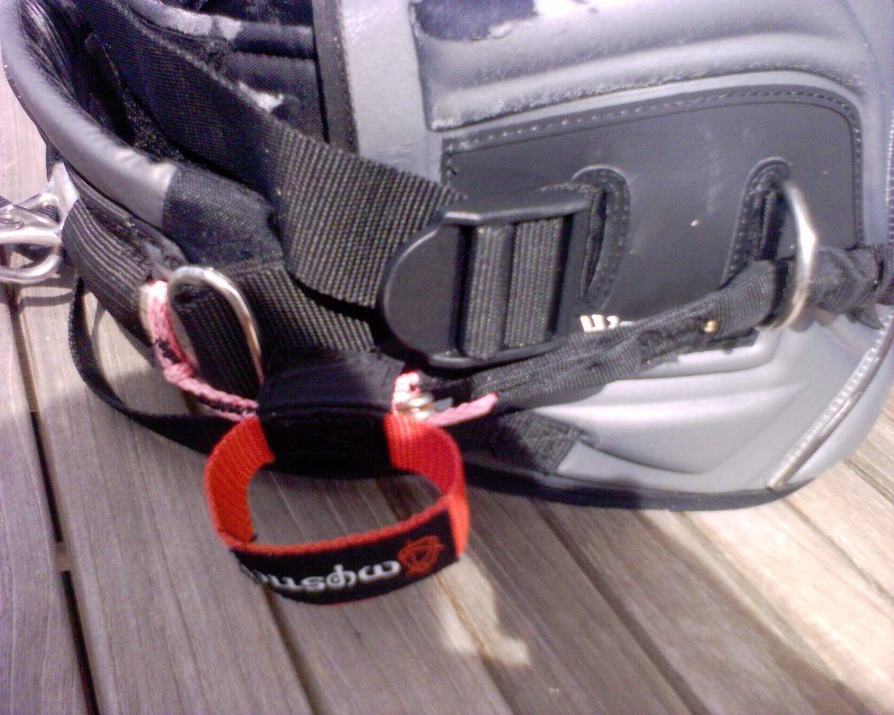 Mystic Warrior Leash