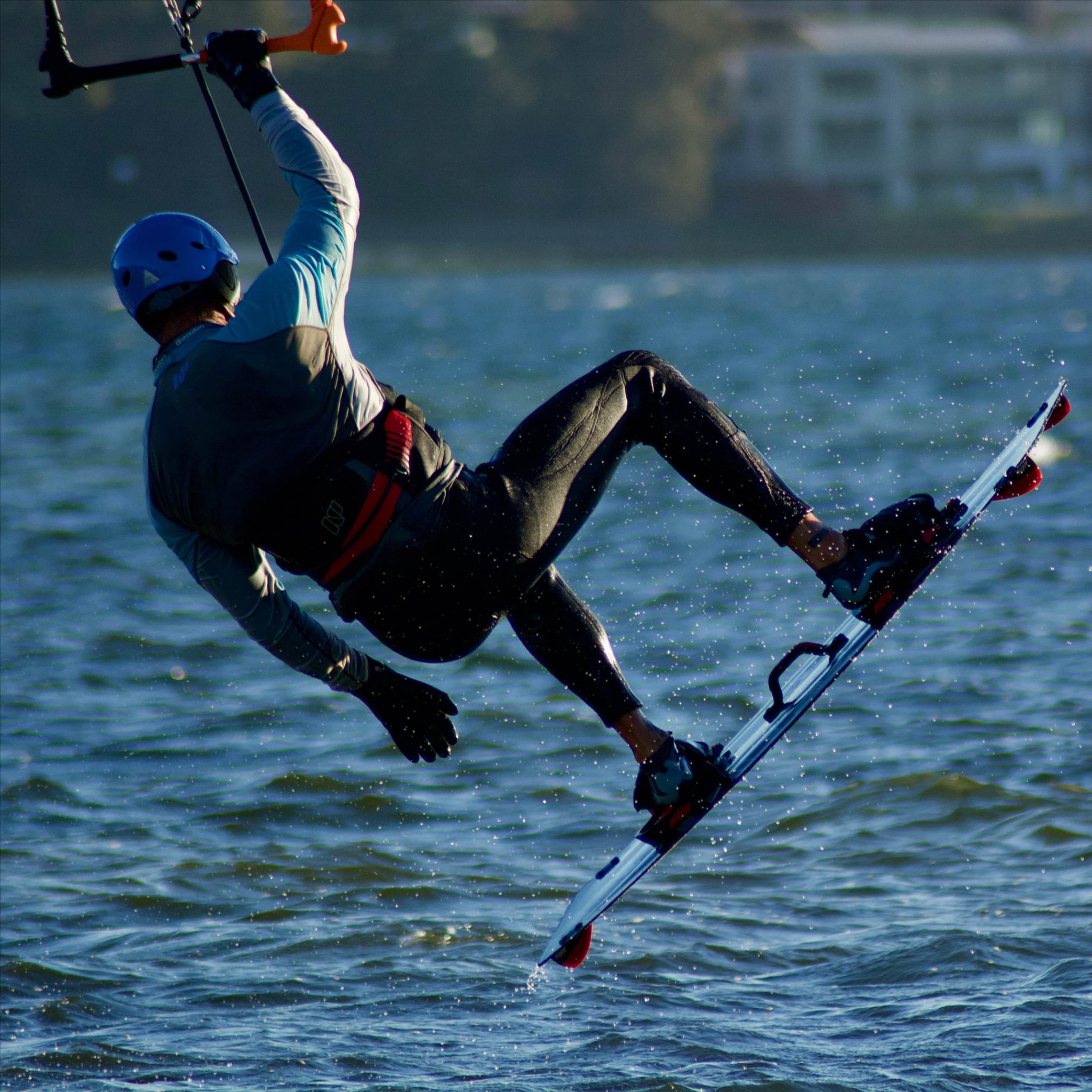 Love watching them fly