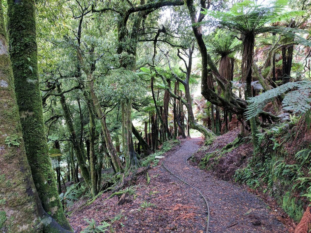 Walk