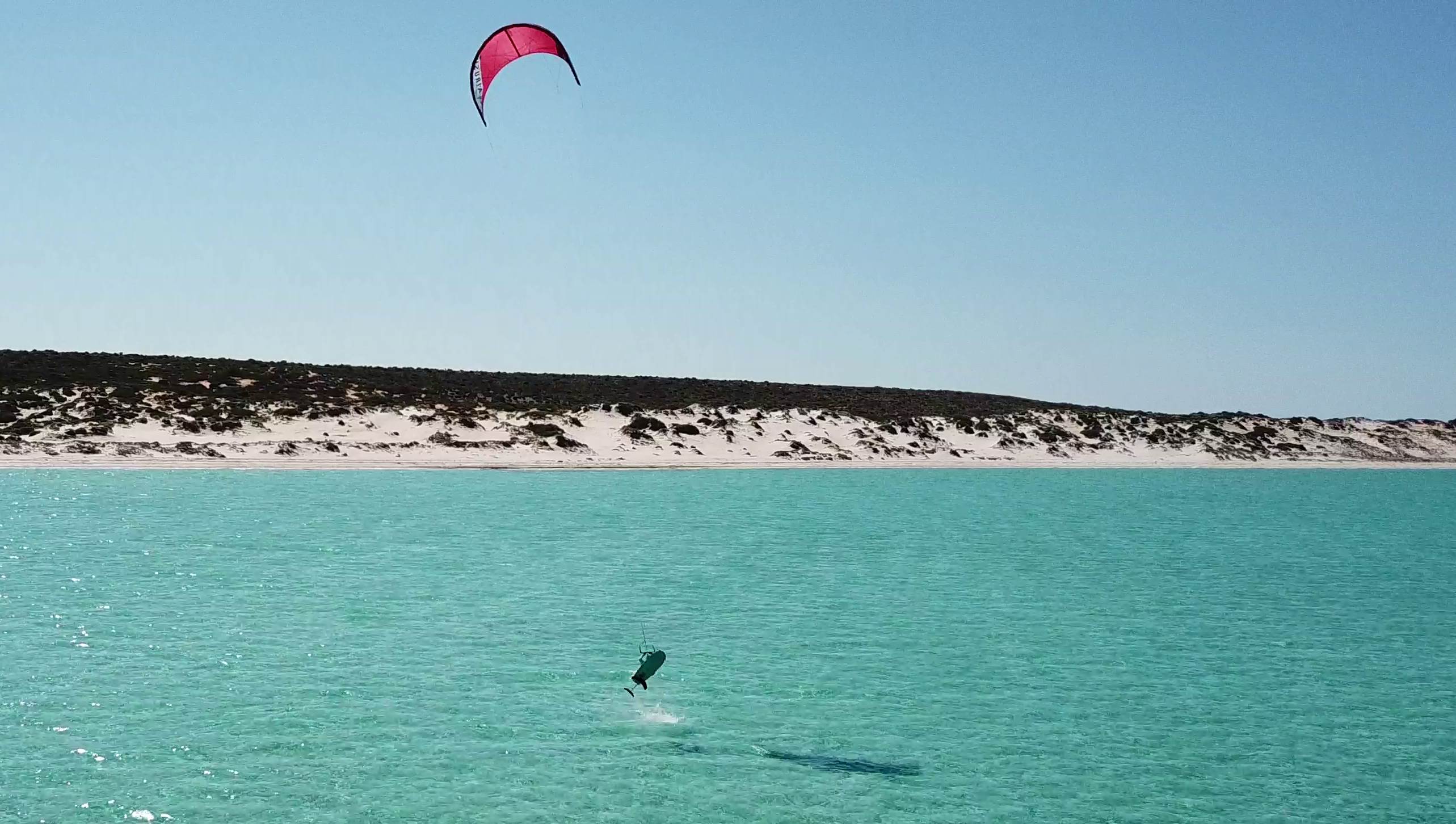 shark bay foil 2
