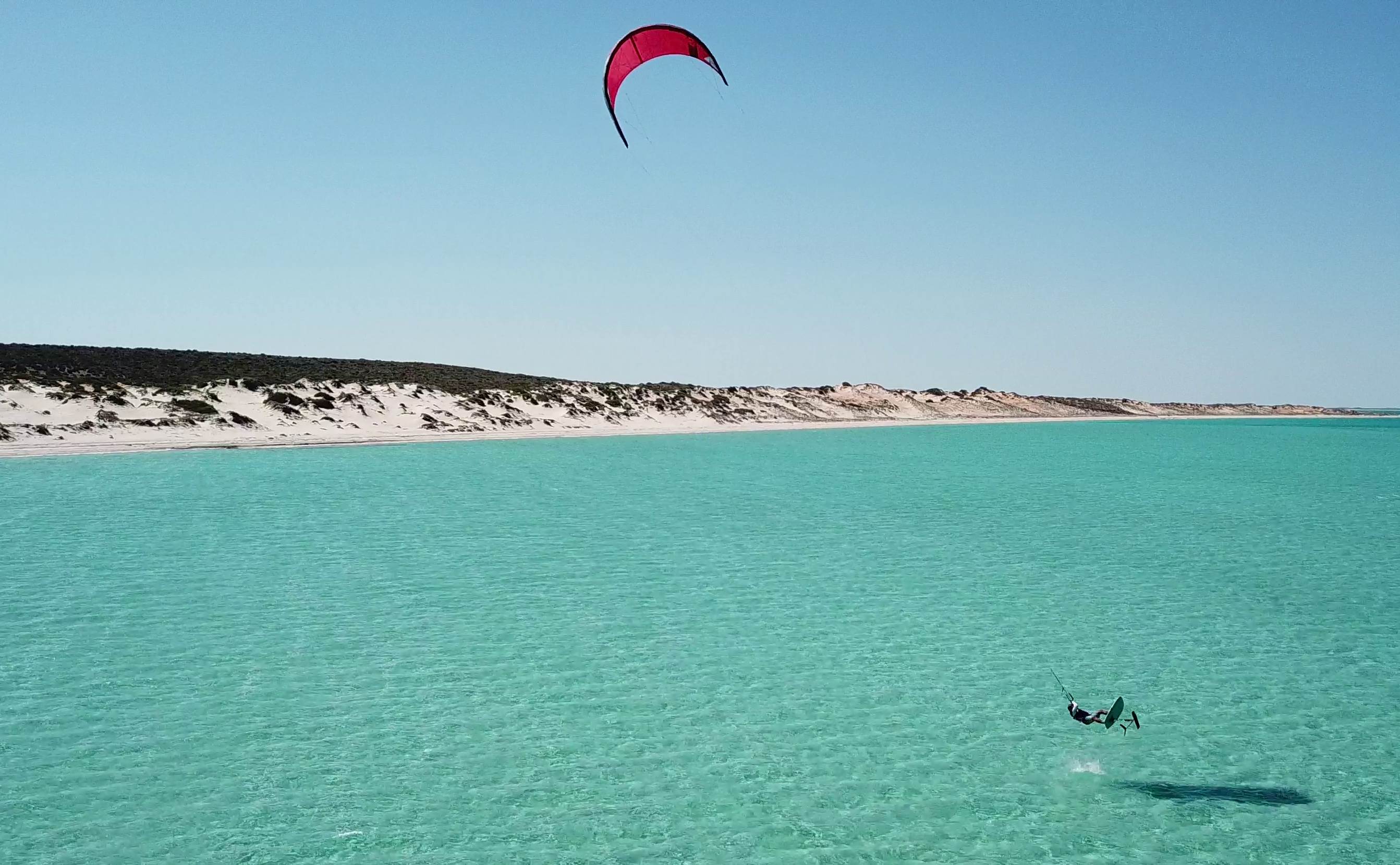 shark bay foil 5