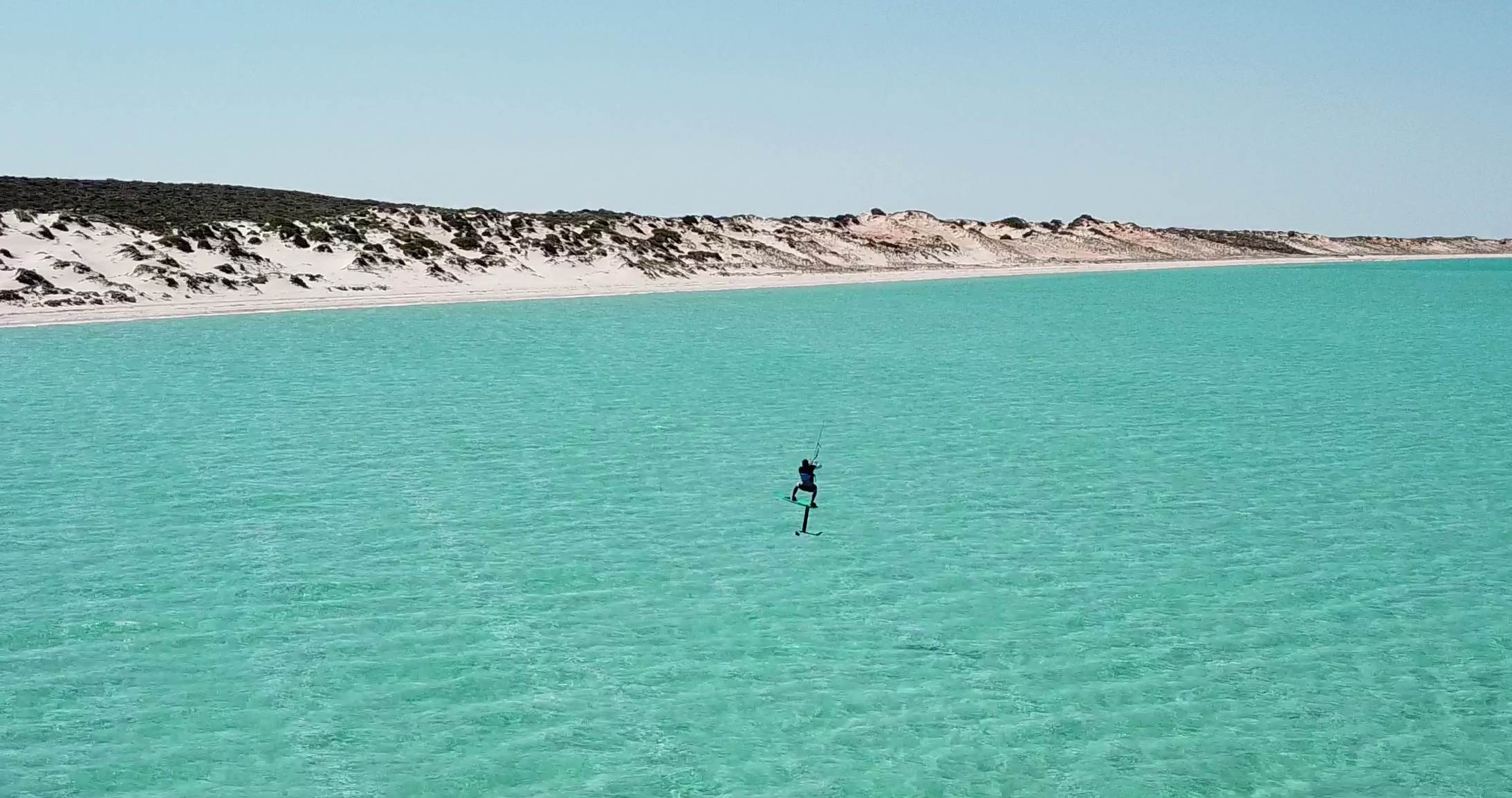 shark bay foil 6
