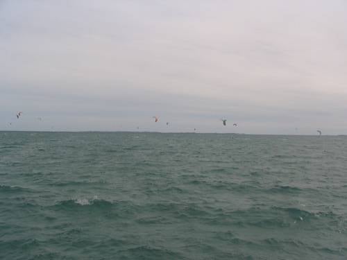 Kites