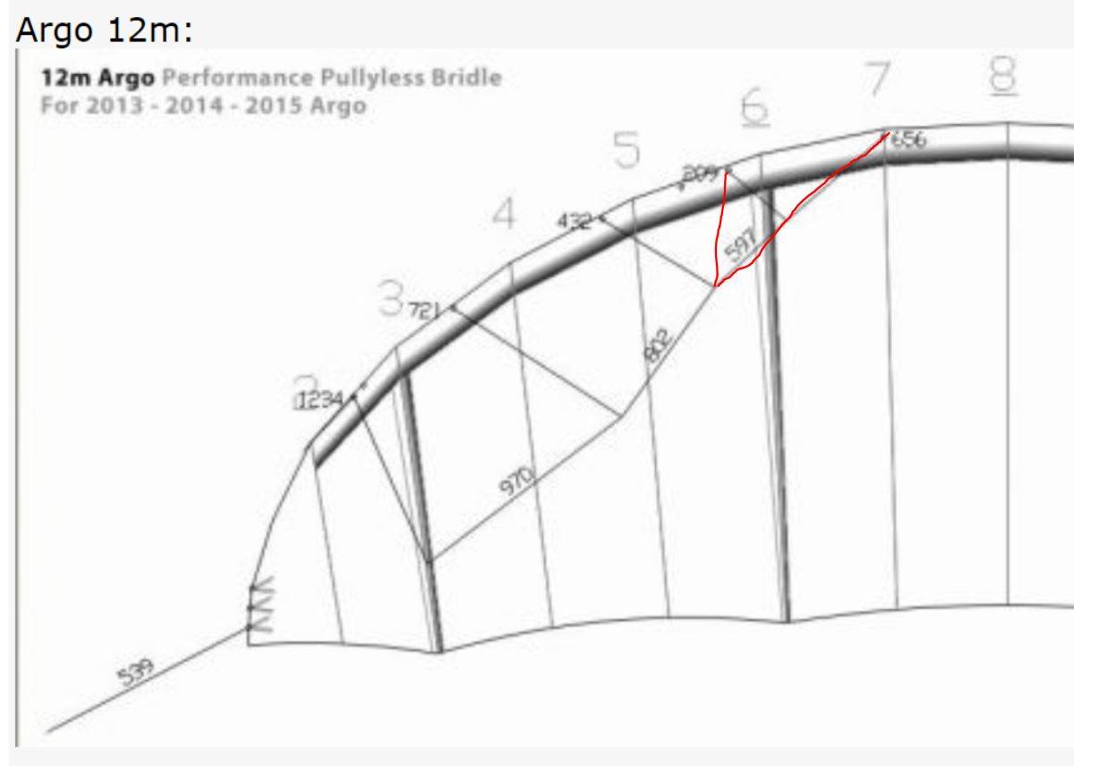 bridle dimensions