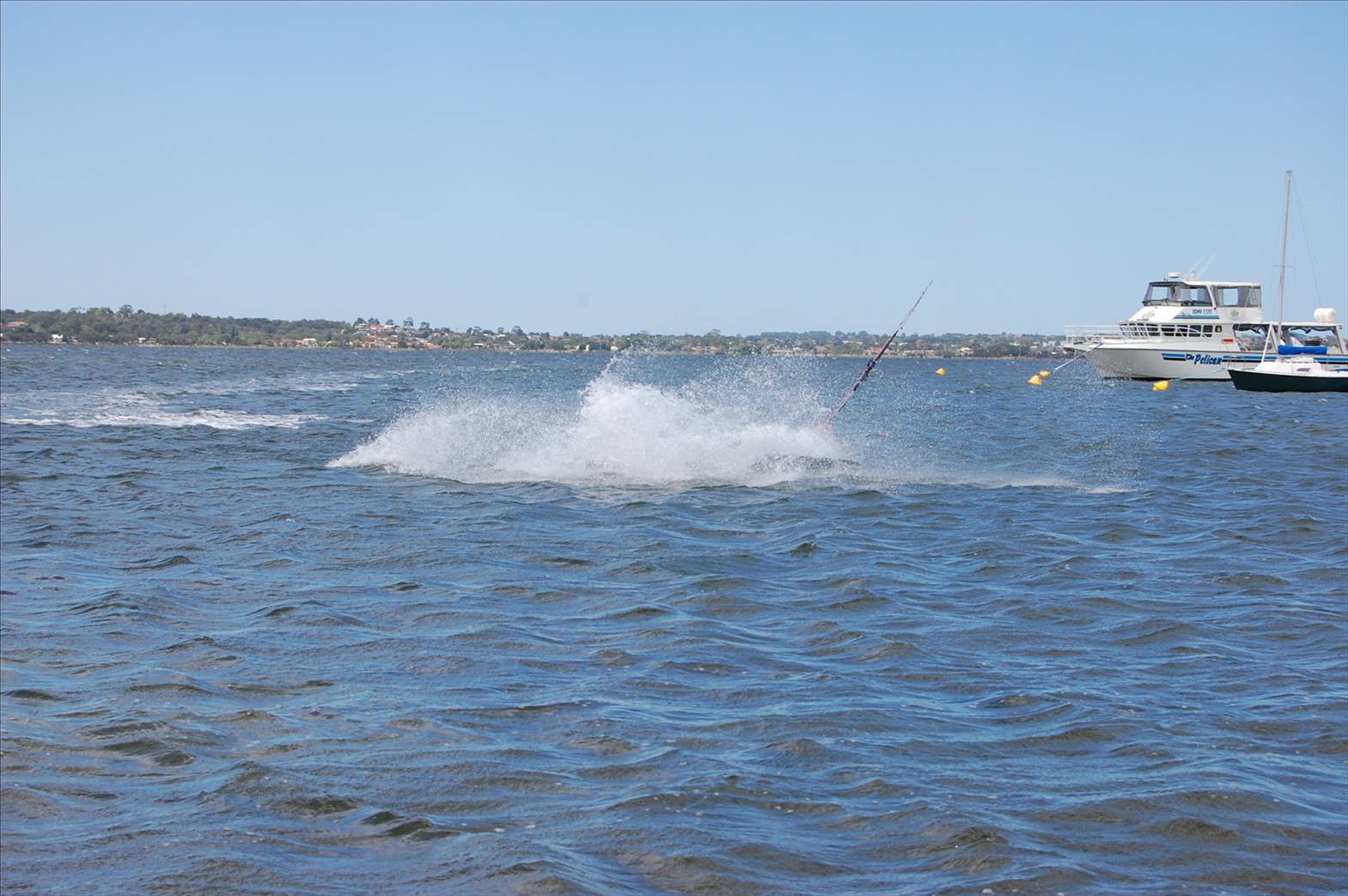 SOS photos of Damo at Pelli point