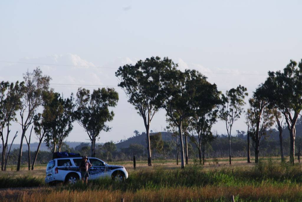 Cow paddock riding