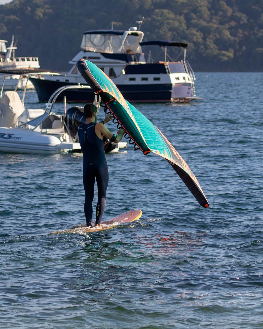 WingSurfer
