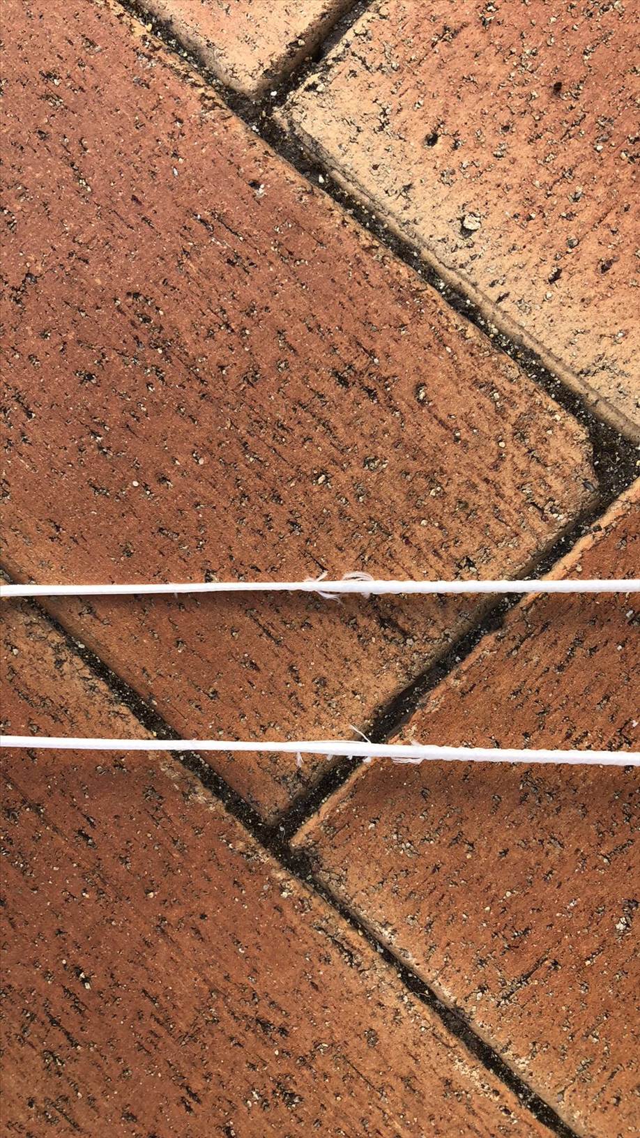 lines1
