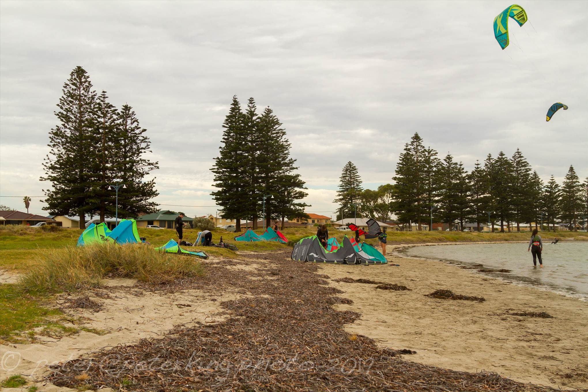 The Pond 22.12.2019
