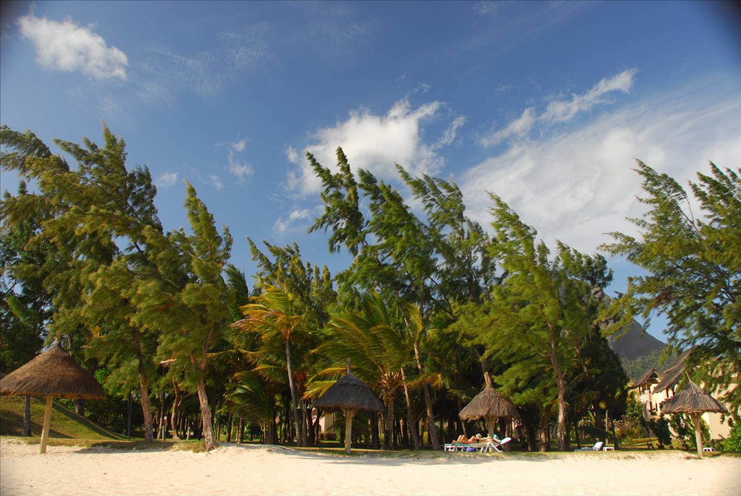 Mauritius - Le Morne 2007