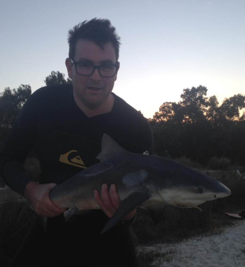 shark