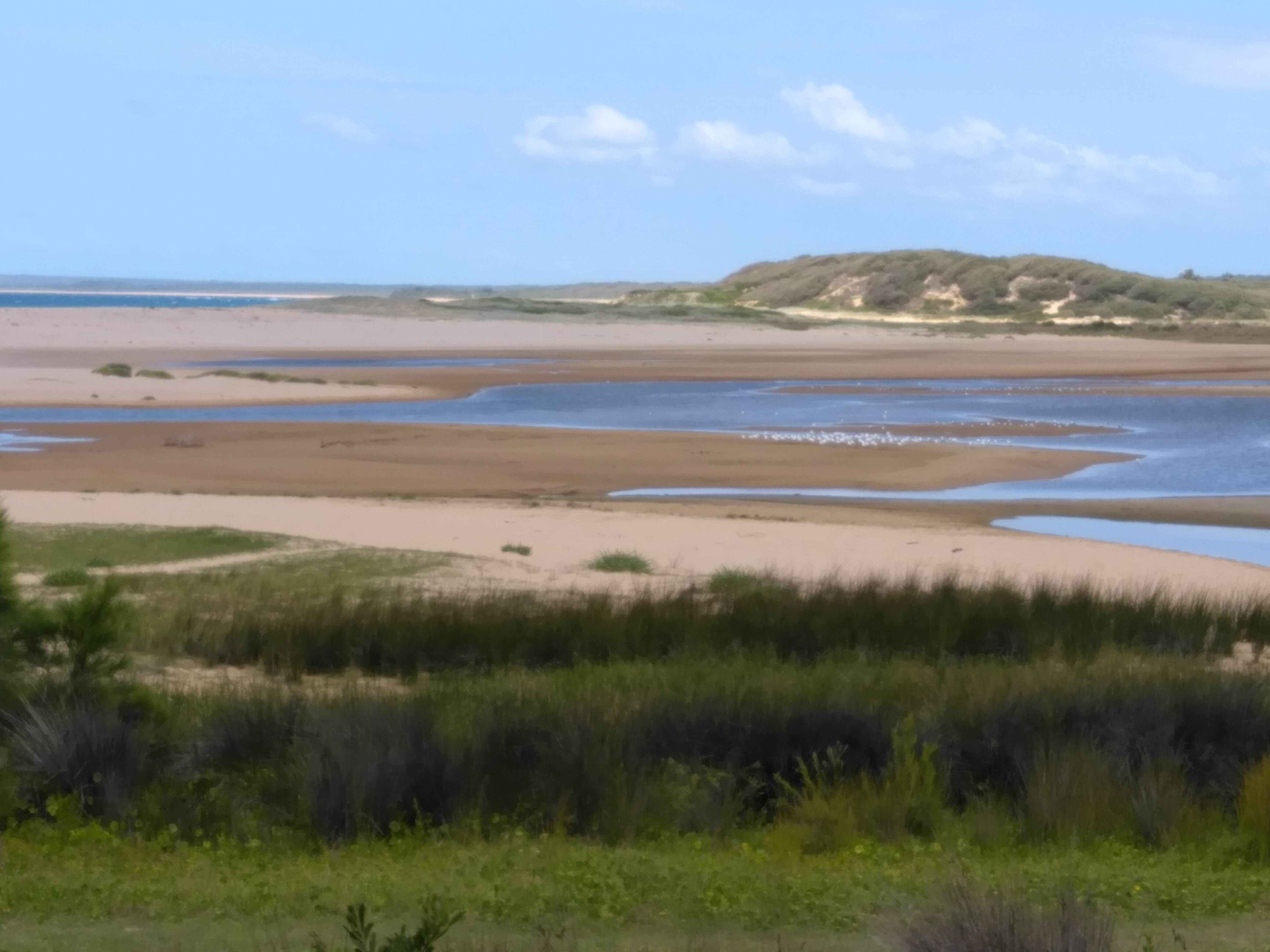 Entrance - sandbar
