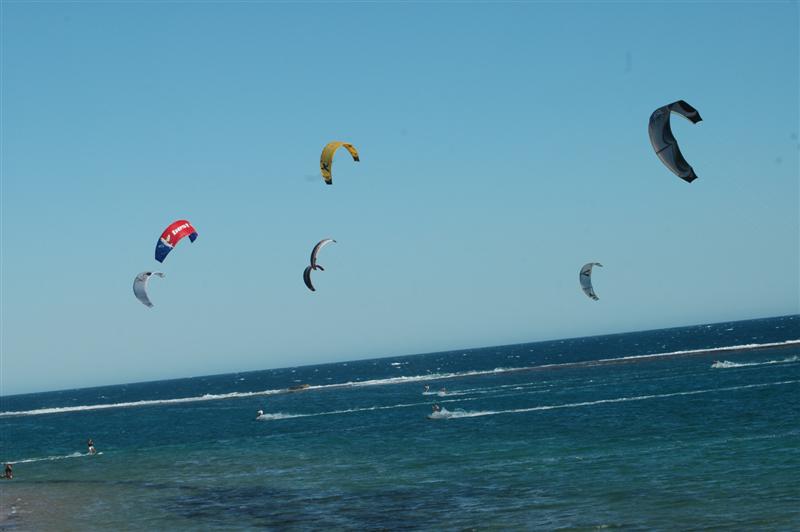 Kitestock