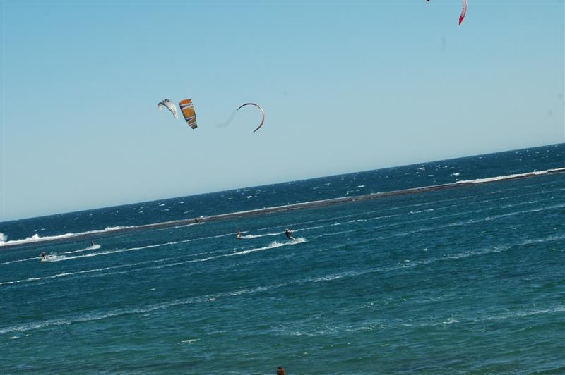 Kitestock
