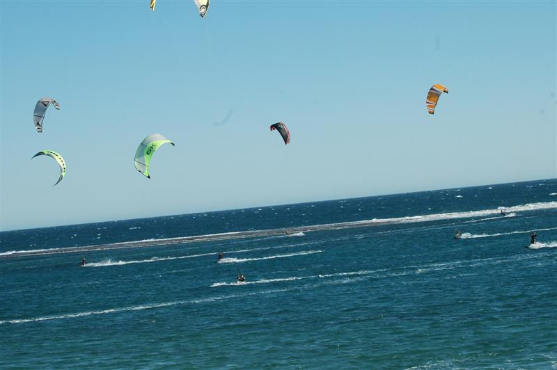 Kitestock